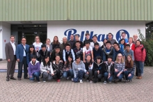 Pelikan